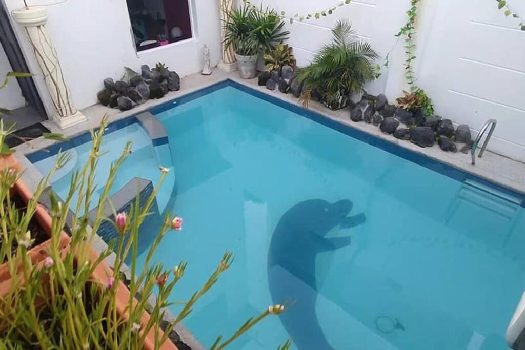 Arthur Private Resort Legazpi Exterior photo